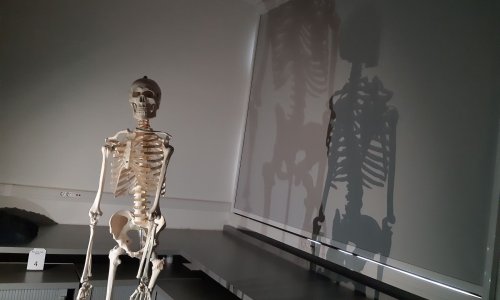Úniková hra pro 8. ročníky
