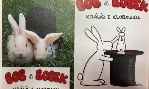 2023 Plagiátorství povoleno