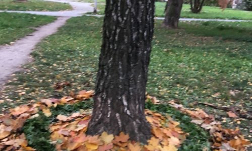 Podzimní výtvarná výchova v 6. třídách