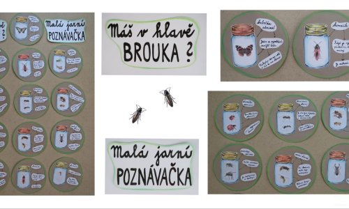 Máš v hlavě brouka?