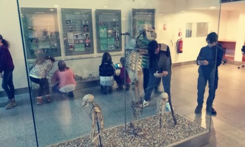 Anthropos