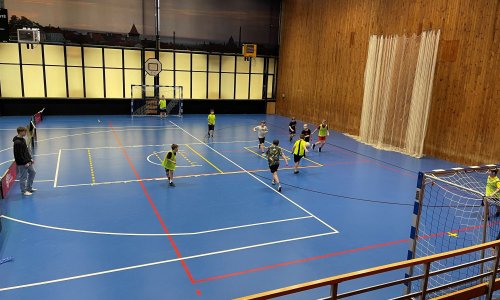 Florbal v novém roce se ŠD