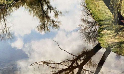 Projekt - Foto