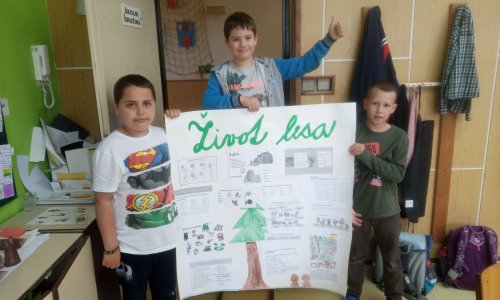 Život lesa