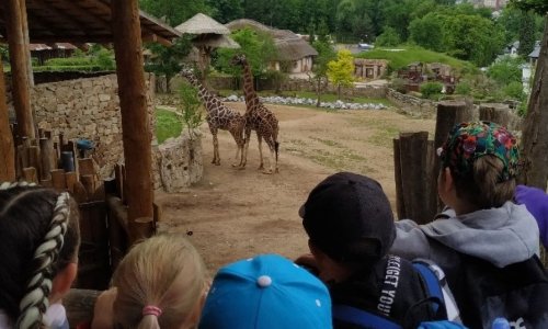 ZOO Jihlava a 1. C