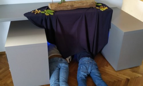 Den stromů a 2. C