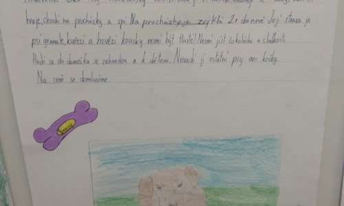 Veletrh domácích mazlíčků