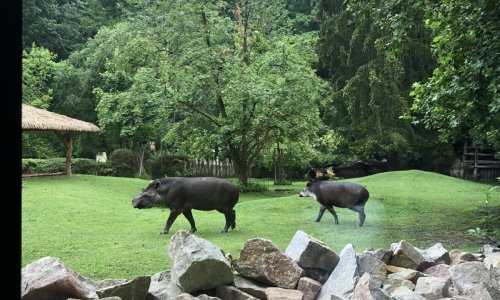 1.A v ZOO Jihlava 2024