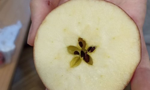Znáte české tradice?
