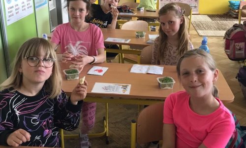 Pracovní činnosti s řeřichou