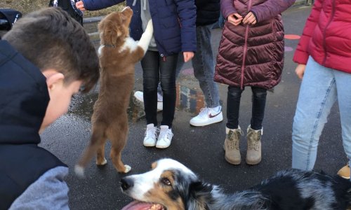 V chovatelském kroužku máme rádi zvířata