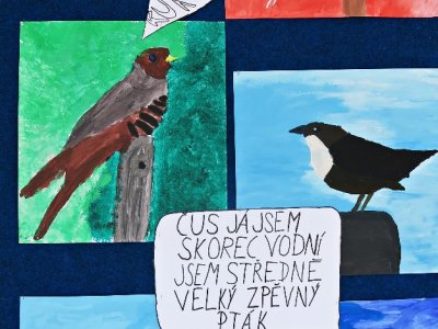 Společný projekt I. a II. stupně