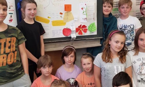 Projektový den - rostliny a živočichové v našem okolí